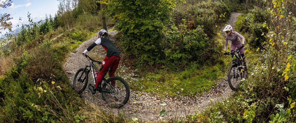 Haldon forest bike hot sale trails